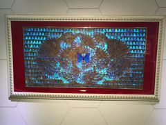 -上海昆虫博物馆