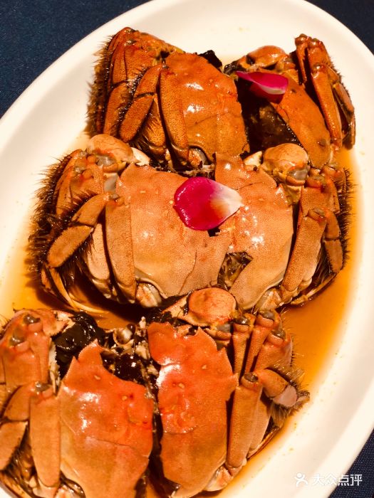 老吉堂上海私房菜图片 - 第2305张