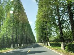 -黄海国家森林公园