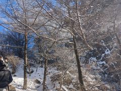 -崂山巨峰游览区