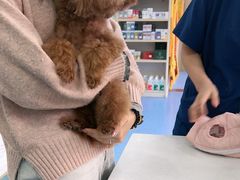 -博特宠物医院24h犬猫全科.骨科·异宠