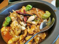 黑松露牛肝菌焖牛蛙-云海肴·汽锅鸡·云南菜(苏州中心店)