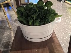 -烹然四季椰子鸡火锅(姚家园万象汇店)