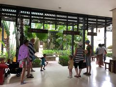 -三亚珠江南田温泉度假区