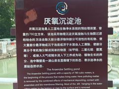 -成都市活水公园