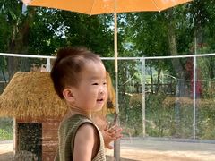 -参仙谷生态旅游度假区