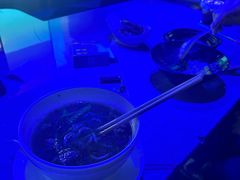 -纯K(星耀城店)
