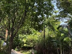 -清远熹乐谷温泉度假酒店