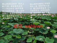 -铁道游击队纪念园