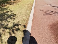 -苏州东太湖生态园
