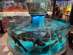 -魏铭鱼头捞饭(晋阳路店)