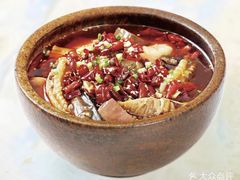 -孔雀云贵川·融合菜(长宁来福士店)