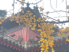 -承恩寺