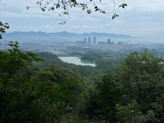 -大奇山国家森林公园