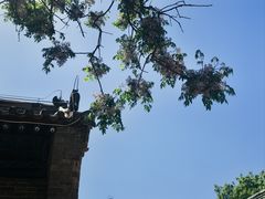 -河间府署