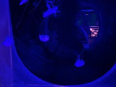 -大连圣亚海洋世界
