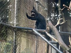 -宁波野生动物园