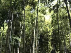 -众神白水涧景区