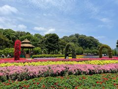 -广州市石门国家森林公园