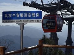 -牛背梁国家森林公园