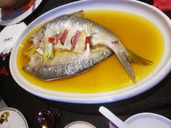 清蒸鲥鱼-御锦天(外滩六号店)