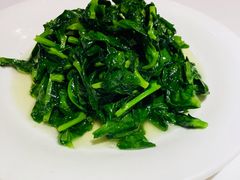 雞油豆苗-老吉士酒家(天平路店)
