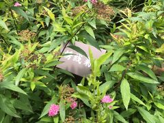 -眉山湿地公园(东坡区)