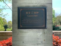 -美丽洲堂