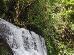 -藏龙百瀑风景区