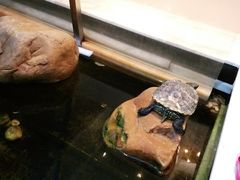 -乐尚音乐空间·钢琴·声乐·架子鼓(会展中心店)