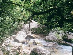 -青城山