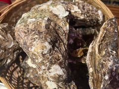 高压锅竹笼蒸蚝-蚝堡海鲜·威海菜·海肠捞饭·烧烤·亚洲吃蚝公司(幸福门店)