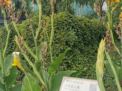 -黑龙江中医药大学