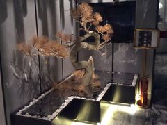 景观位-桐爷小馆(广渠门店)