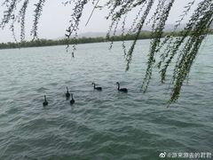 -颐和园