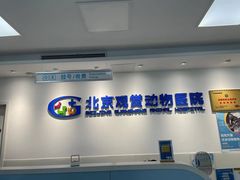 -北京观赏动物医院·24小时大型综合·猫专科·异宠专科
