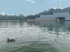 -北海公园-停车场