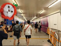 -麦当劳(南后街店)