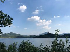 -望湖烤鱼