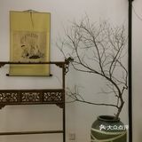 📝 潮州探店 | 环境超棒的素菜私房菜馆