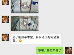 -芭比堂动物医院·犬猫全科·异宠专科(雁塔分院)