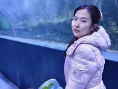 -秦皇岛新澳海底世界