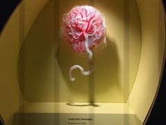 -墨尔本博物馆(Melbourne Museum)