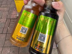 -黄振龙凉茶馆(天河南店)