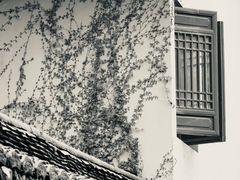 -慧因高丽寺