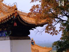 -颐和园