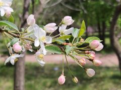 -黑龙江省森林植物园