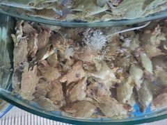 -蓝珊甄选海鲜自助·火锅大排档(近阿那亚店)