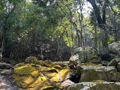-福清灵石山国家森林公园