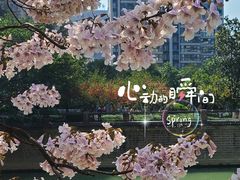 -红星桥(地铁站)